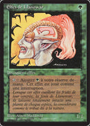 Llanowar Elves - 3th Edition Foreign French