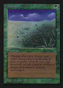 Lifelace [Collectors' Edition]